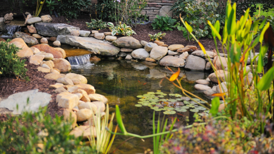 Tips for Adding a Water Features to Your Long Island Home | Laffey Real Estate