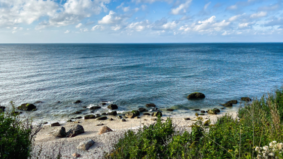 Summer Staycation: Long Island Park Tour | Laffey Real Estate